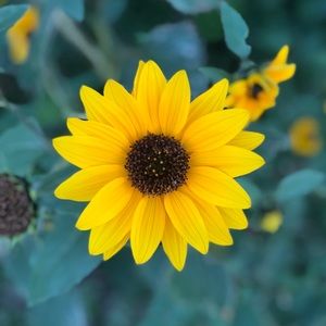 Meet your Posher, Paige